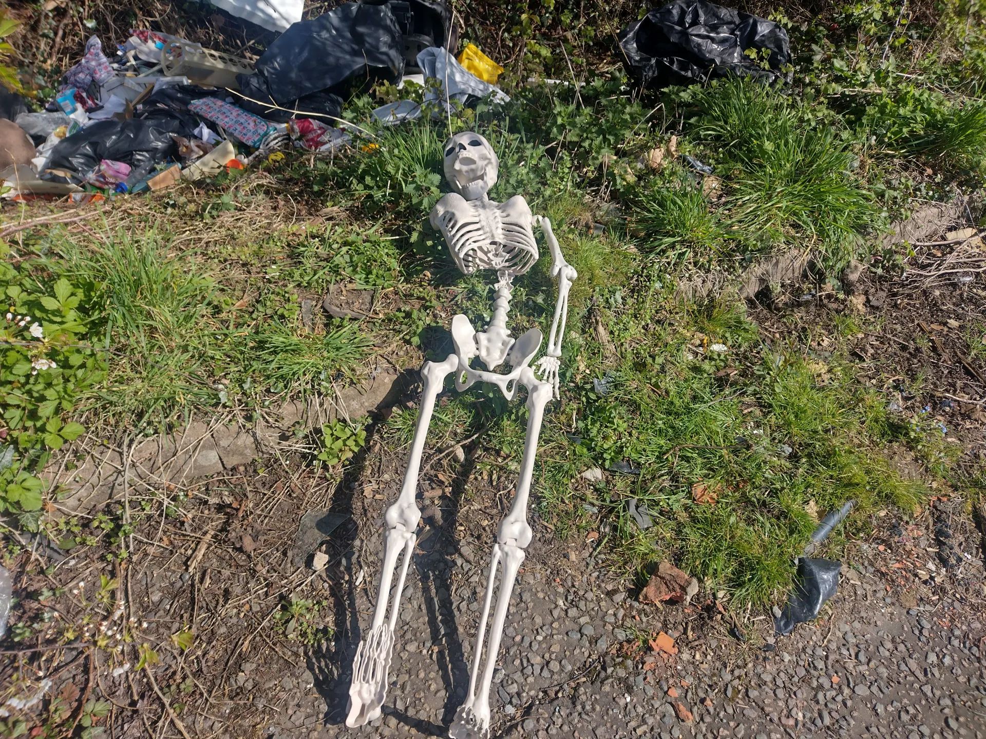 Trail update photo